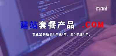 公司网站制作推广提供多点优化技巧